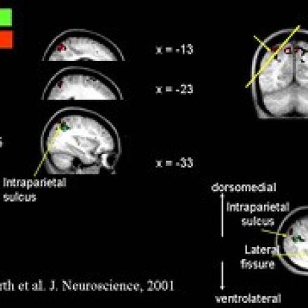 Department of Experimental Psychology