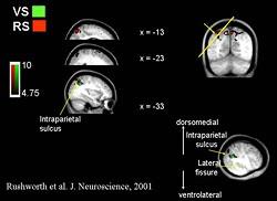 Department of Experimental Psychology